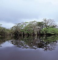 ecuadorian amazonia