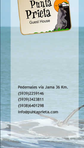 punta prieta